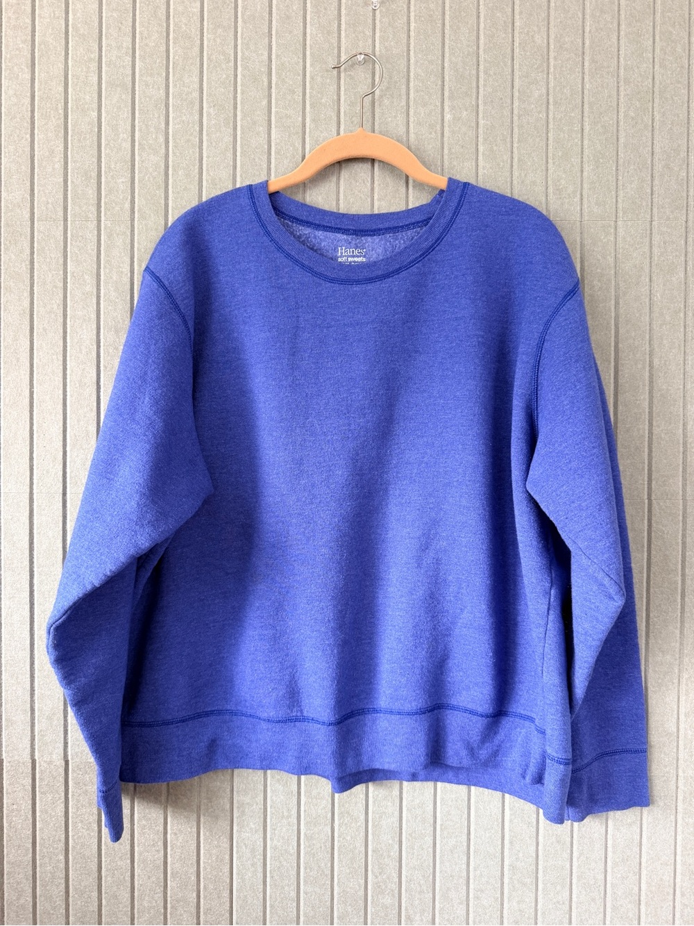 Hanes Women's Blue Crewneck Sweatshirt